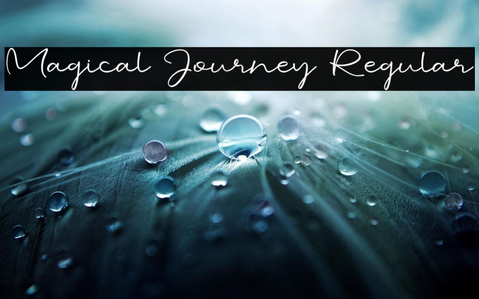 Magical Journey Regular Example 2