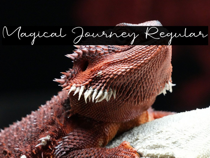 Magical Journey Regular Example 3