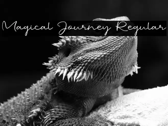 Magical Journey Regular Шрифта examples