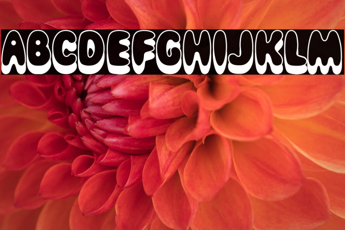 Magical Mystery Tour Outline Shadow Example 3