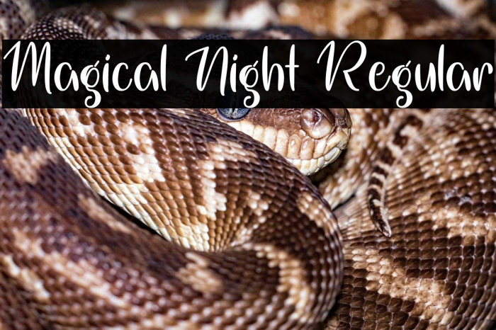 Magical Night Regular Example 2