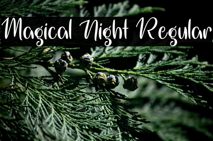 Magical Night Regular Example 3