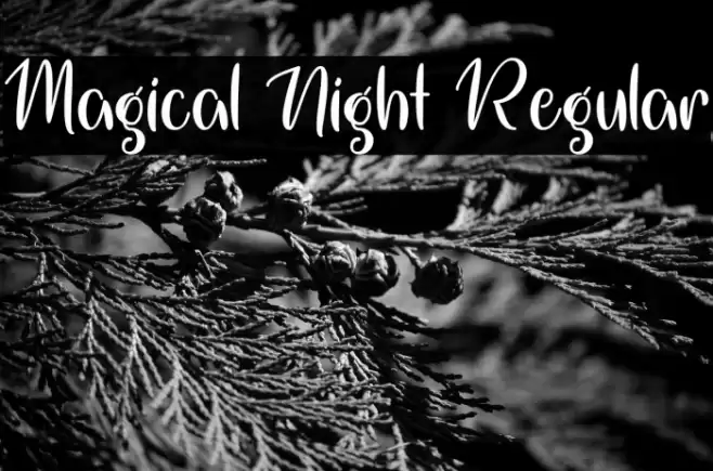 Magical Night Regular Font examples
