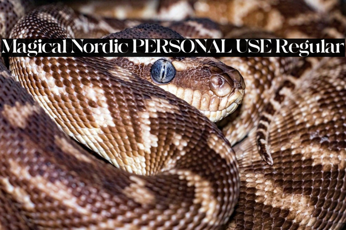 Magical Nordic PERSONAL USE Regular Example 1