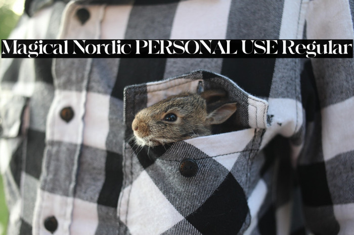 Magical Nordic PERSONAL USE Regular Example 3