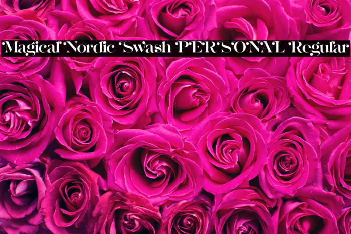 Magical Nordic Swash PERSONAL Regular Example 1