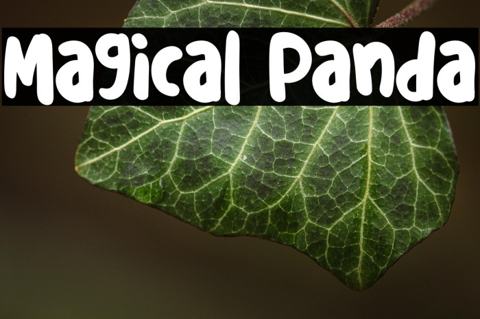 Magical Panda Example 2