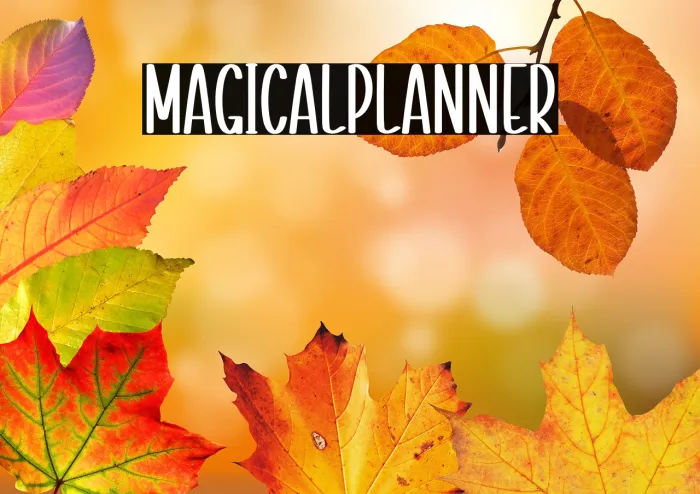 Magical Planner Example 1