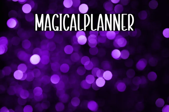 Magical Planner Example 3