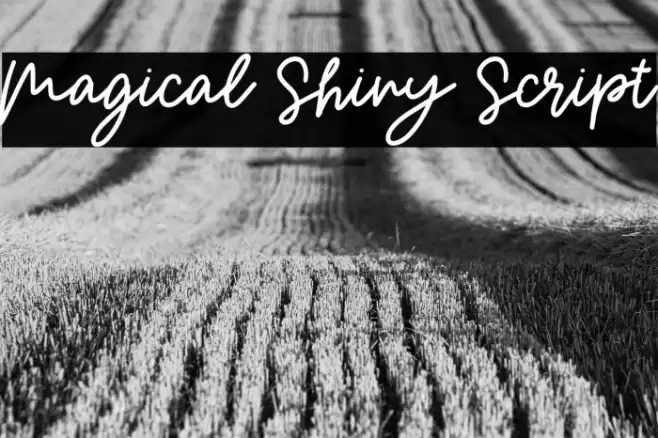 Magical Shiny Script Font examples