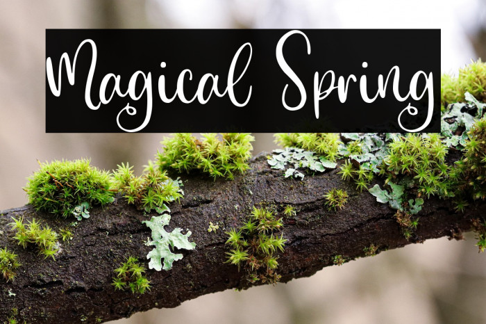 Magical Spring Example 1