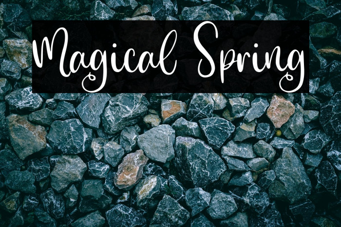 Magical Spring Example 2