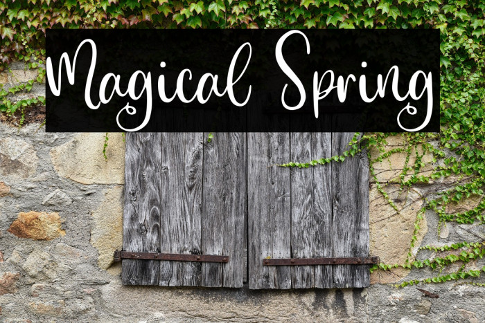 Magical Spring Example 3