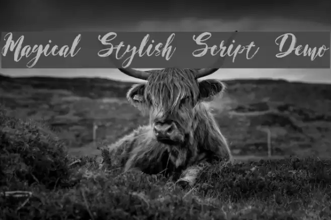 Magical Stylish Script Demo Font examples