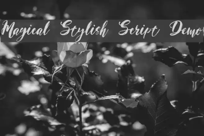 Magical Stylish Script Demo Font examples