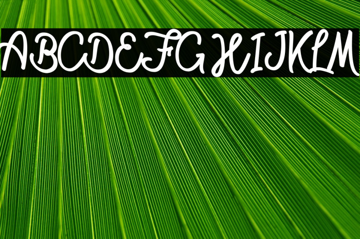 Magical Waste Personal Use  Example 2