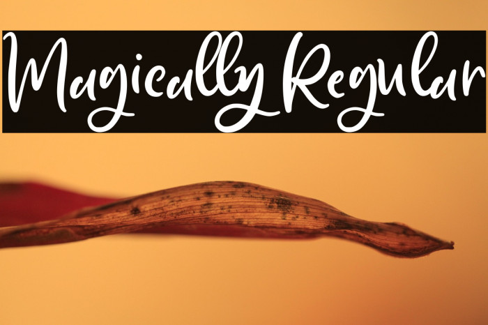 Magically Regular Example 2