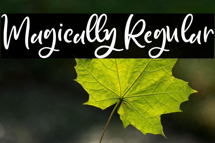 Magically Regular Example 3