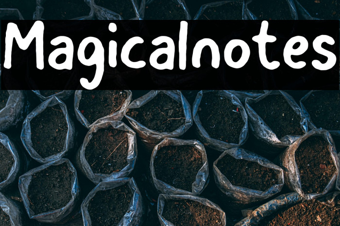 Magicalnotes Example 1