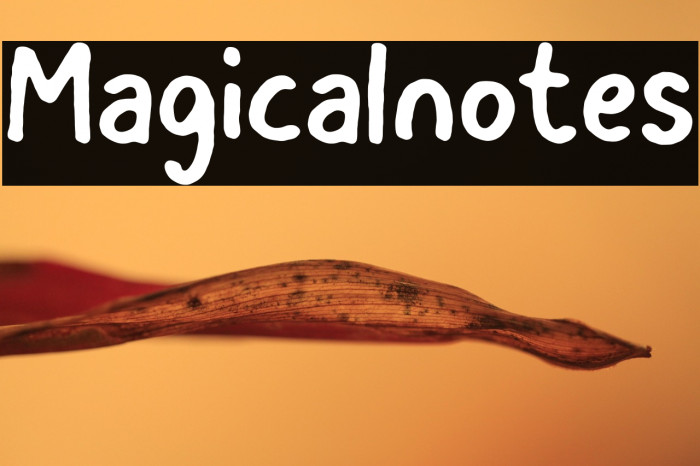 Magicalnotes Example 3