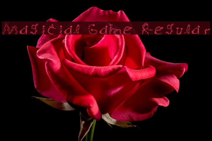 Magicial Game Regular Example 3