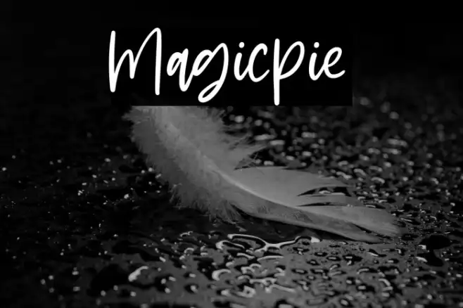Magicpie Example 1