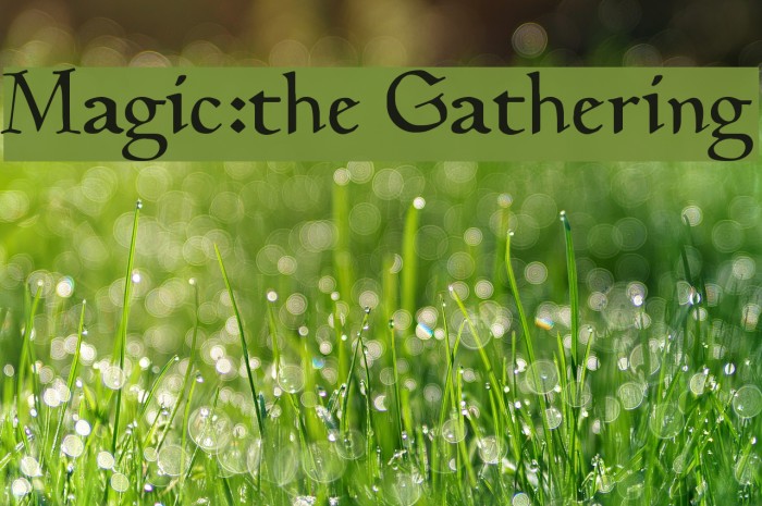 Magic:the Gathering Polices examples