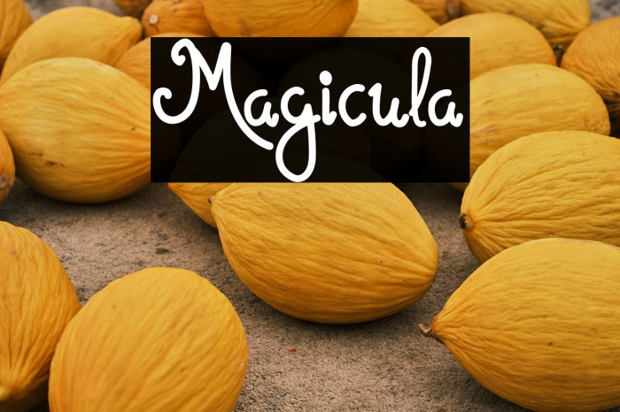 Magicula Example 1