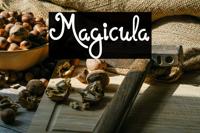 Magicula Example 3
