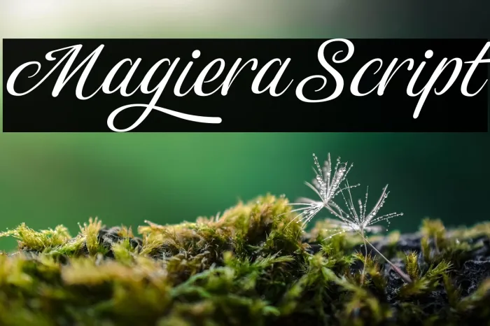Magiera Script Example 1