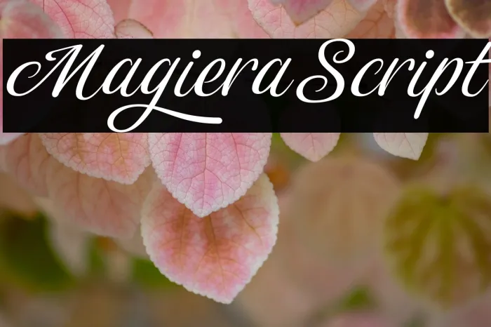 Magiera Script Example 2