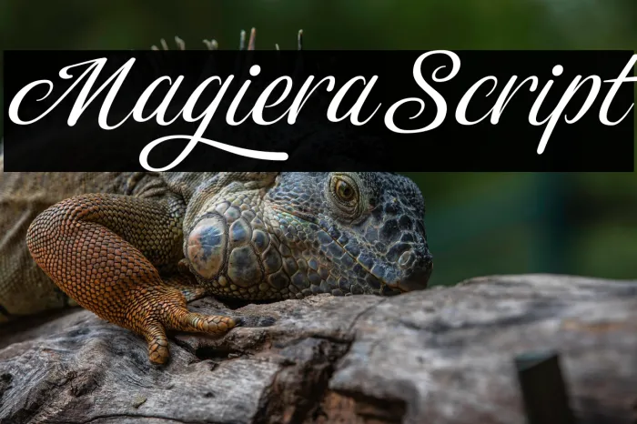 Magiera Script Example 3