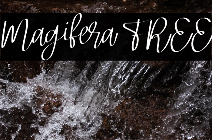 Magifera FREE Example 1