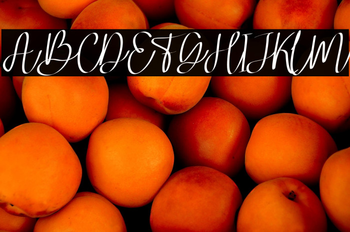 MagiferaFREE Example 2