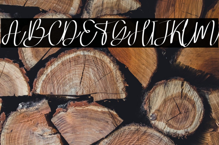 MagiferaFREE Example 3