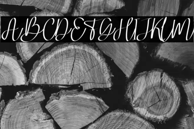 MagiferaFREE Font examples