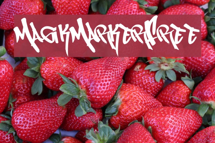 MagikMarker_Free Font examples