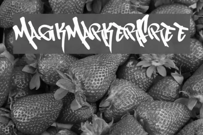 MagikMarker_Free फ़ॉन्ट examples