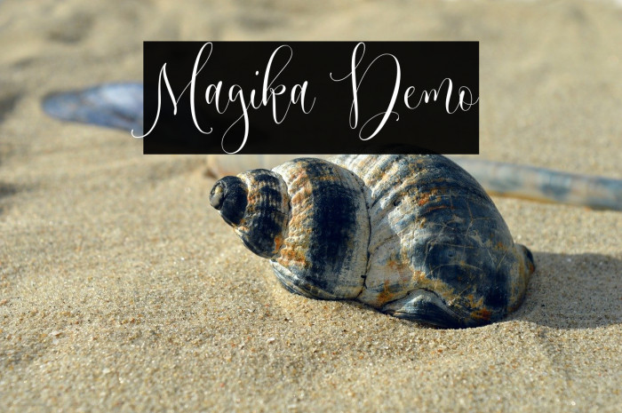 Magika Demo Example 1
