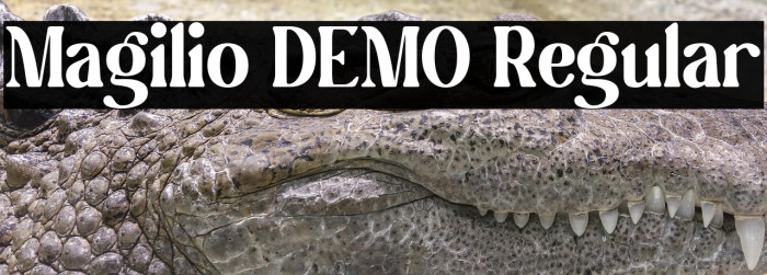 Magilio DEMO Regular Example 2