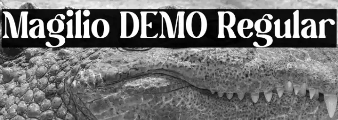 Magilio DEMO Regular Example 2