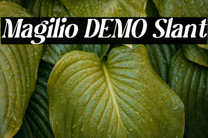 Magilio DEMO Slant Example 2