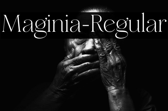 Maginia-Regular Example 1