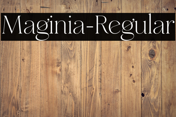 Maginia-Regular Example 3