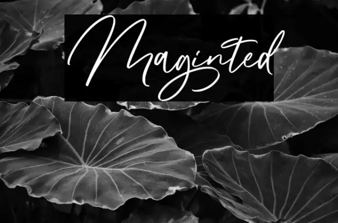 Maginted Font examples