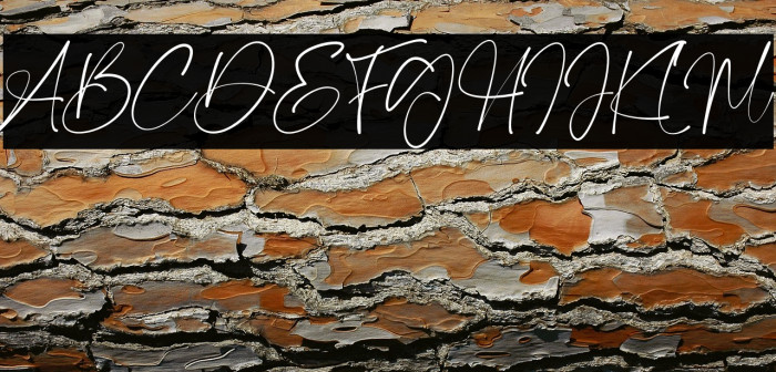 Magis Authentic Example 3