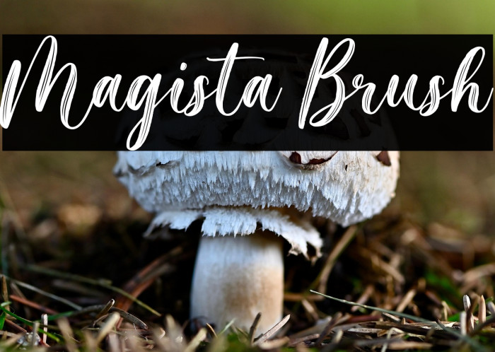 Magista Brush Example 2