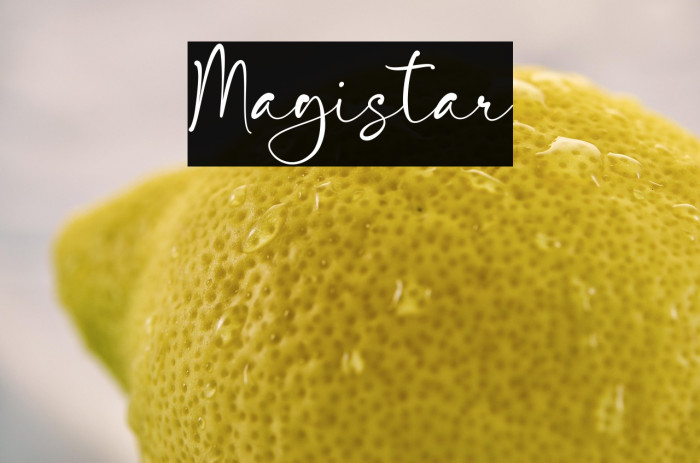 Magistar Polices examples