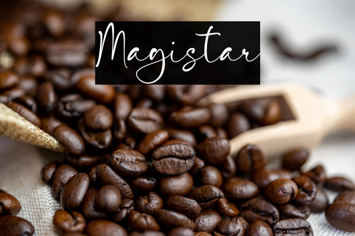 Magistar Polices examples