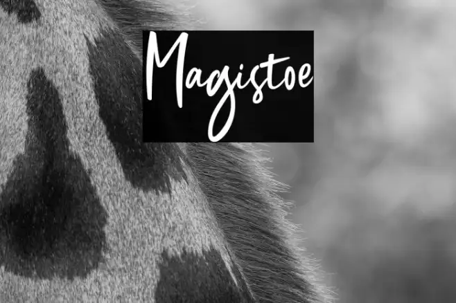 Magistoe Example 2